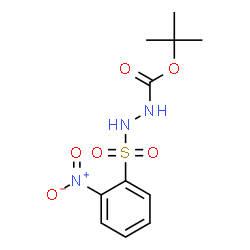 ChemSpider 2D Image | 2-Methyl-2-propanyl 2-[(2-nitrophenyl)sulfonyl]hydrazinecarboxylate | C11H15N3O6S