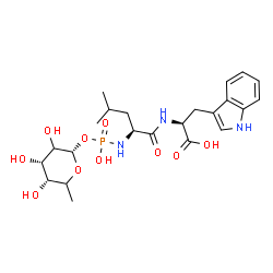 ChemSpider 2D Image | (2S)-2-({(2S)-2-[(Hydroxy{[(2S,4S,5R)-3,4,5-trihydroxy-6-methyltetrahydro-2H-pyran-2-yl]oxy}phosphoryl)amino]-4-methylpentanoyl}amino)-3-(1H-indol-3-yl)propanoic acid | C23H34N3O10P