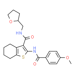 ChemSpider 2D Image | 2-[(4-Methoxybenzoyl)amino]-N-(tetrahydro-2-furanylmethyl)-4,5,6,7-tetrahydro-1-benzothiophene-3-carboxamide | C22H26N2O4S
