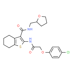 ChemSpider 2D Image | 2-{[(4-Chlorophenoxy)acetyl]amino}-N-(tetrahydro-2-furanylmethyl)-4,5,6,7-tetrahydro-1-benzothiophene-3-carboxamide | C22H25ClN2O4S