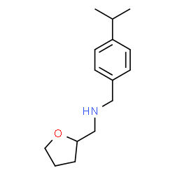 ChemSpider 2D Image | (4-ISOPROPYL-BENZYL)(TETRAHYDROFURAN-2-YL-METHYL)AMINE | C15H23NO