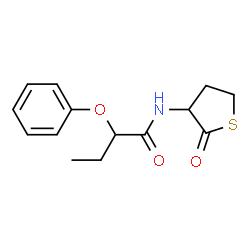 ChemSpider 2D Image | N-(2-Oxotetrahydro-3-thiophenyl)-2-phenoxybutanamide | C14H17NO3S
