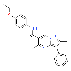 ChemSpider 2D Image | N-(4-Ethoxyphenyl)-2,5-dimethyl-3-phenylpyrazolo[1,5-a]pyrimidine-6-carboxamide | C23H22N4O2