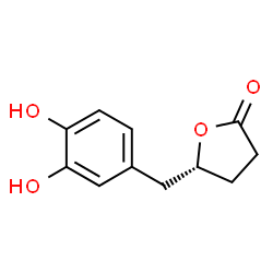 ChemSpider 2D Image | (5R)-5-[(3,4-dihydroxyphenyl)methyl]oxolan-2-one | C11H12O4