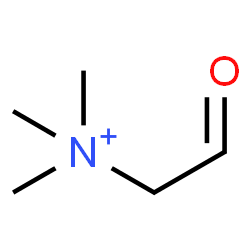 ChemSpider 2D Image | Glycine betaine aldehyde | C5H12NO