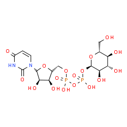 ChemSpider 2D Image | [(2S,3S,4R,5S)-5-(2,4-Dioxo-3,4-dihydropyrimidin-1(2H)-yl)-3,4-dihydroxytetrahydrofuran-2-yl]methyl (2R,3R,4S,5S,6R)-3,4,5-trihydroxy-6-(hydroxymethyl)tetrahydro-2H-pyran-2-yl dihydrogen diphosphate (non-preferred name) | C15H24N2O17P2