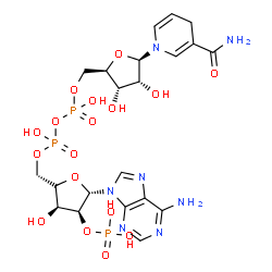 ChemSpider 2D Image | [[(3S,4S,5S)-5-(6-aminopurin-9-yl)-3-hydroxy-4-phosphonooxy-tetrahydrofuran-2-yl]methoxy-hydroxy-phosphoryl] [(2R,3S,4R,5R)-5-(3-carbamoyl-4H-pyridin-1-yl)-3,4-dihydroxy-tetrahydrofuran-2-yl]methyl hydrogen phosphate | C21H30N7O17P3