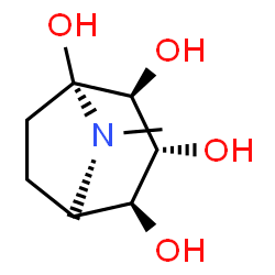 ChemSpider 2D Image | (1R,2S,3R,4S,5S)-8-Methyl-8-azabicyclo[3.2.1]octane-1,2,3,4-tetrol | C8H15NO4