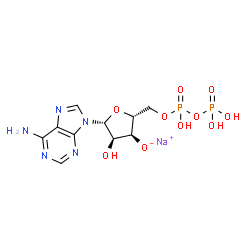 ChemSpider 2D Image | Sodium (2R,3S,4R,5R)-5-(6-amino-9H-purin-9-yl)-4-hydroxy-2-({[hydroxy(phosphonooxy)phosphoryl]oxy}methyl)tetrahydro-3-furanolate | C10H14N5NaO10P2
