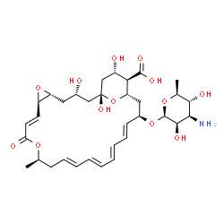 ChemSpider 2D Image | (1R,3S,5R,7R,8E,12R,14E,16E,18E,20E,22R,24S,25R,26S)-22-[(3-Amino-3,6-dideoxy-beta-L-mannopyranosyl)oxy]-1,3,26-trihydroxy-12-methyl-10-oxo-6,11,28-trioxatricyclo[22.3.1.0~5,7~]octacosa-8,14,16,18,20-
pentaene-25-carboxylic acid | C33H47NO13