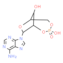 ChemSpider 2D Image | 8-(6-Amino-9H-purin-9-yl)-2,4,7-trioxa-3-phosphabicyclo[4.2.1]nonane-3,9-diol 3-oxide | C10H12N5O6P