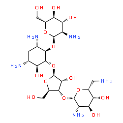 ChemSpider 2D Image | (1R,2R,3S,4R,6S)-4,6-Diamino-2-{[3-O-(2,6-diamino-2,6-dideoxy-beta-D-idopyranosyl)-beta-D-ribofuranosyl]oxy}-3-hydroxycyclohexyl 2-amino-2-deoxy-alpha-D-glucopyranoside | C23H45N5O14