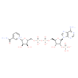 ChemSpider 2D Image | [(2R,3R,4R,5R)-2-(6-aminopurin-9-yl)-5-[[[[(2R,3S,4R,5R)-5-(3-carbamoylpyridin-1-ium-1-yl)-3,4-dihydroxy-tetrahydrofuran-2-yl]methoxy-oxido-phosphoryl]oxy-oxido-phosphoryl]oxymethyl]-4-hydroxy-tetrahydrofuran-3-yl] hydrogen phosphate | C21H26N7O17P3