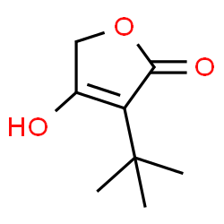 ChemSpider 2D Image | 3-tert-Butyl-4-hydroxyfuran-2(5H)-one | C8H12O3