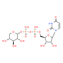 ChemSpider 2D Image | [(2R,3S,4R)-5-(2,4-Dioxo-3,4-dihydro-1(2H)-pyrimidinyl)-3,4-dihydroxytetrahydro-2-furanyl]methyl (2R,3R,4S,5R)-3,4,5-trihydroxytetrahydro-2H-pyran-2-yl dihydrogen diphosphate | C14H22N2O16P2
