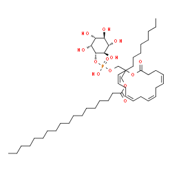 ChemSpider 2D Image | 1-[(Hydroxy{[(1S,2R,3R,4S,5S,6R)-2,3,4,5,6-pentahydroxycyclohexyl]oxy}phosphoryl)oxy]-3-(stearoyloxy)-2-propanyl (4Z,7Z,10Z,13Z)-4,7,10,13-docosatetraenoate | C49H87O13P