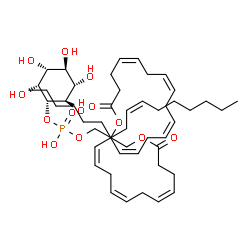 ChemSpider 2D Image | 3-[(Hydroxy{[(1S,2R,3R,4S,5S,6R)-2,3,4,5,6-pentahydroxycyclohexyl]oxy}phosphoryl)oxy]-1,2-propanediyl (4Z,7Z,10Z,13Z,4'Z,7'Z,10'Z,13'Z)bis(-4,7,10,13-icosatetraenoate) | C49H79O13P