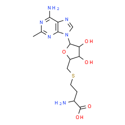 ChemSpider 2D Image | 2-Amino-4-({[5-(6-amino-2-methyl-9H-purin-9-yl)-3,4-dihydroxytetrahydro-2-furanyl]methyl}sulfanyl)butanoic acid | C15H22N6O5S