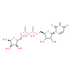 ChemSpider 2D Image | [(2R,3S,4R,5R)-5-(2,4-Dioxo-3,4-dihydro-1(2H)-pyrimidinyl)-3,4-dihydroxytetrahydro-2-furanyl]methyl [(2R,3S,4R,5S)-3,4,5-trihydroxytetrahydro-2-furanyl]methyl dihydrogen diphosphate (non-preferred nam
e) | C14H22N2O16P2