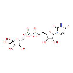 ChemSpider 2D Image | [(2R,3S,4R,5R)-5-(2,4-Dioxo-3,4-dihydro-1(2H)-pyrimidinyl)-3,4-dihydroxytetrahydro-2-furanyl]methyl [(2R,3S,4S,5R)-3,4,5-trihydroxy-5-(hydroxymethyl)tetrahydro-2-furanyl]methyl dihydrogen diphosphate 
(non-preferred name) | C15H24N2O17P2