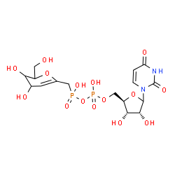 ChemSpider 2D Image | [3,4-dihydroxy-2-(hydroxymethyl)-3,4-dihydro-2H-pyran-6-yl]methyl-[[(2R,3S,4R)-5-(2,4-dioxopyrimidin-1-yl)-3,4-dihydroxy-tetrahydrofuran-2-yl]methoxy-hydroxy-phosphoryl]oxy-phosphinic acid | C16H24N2O15P2