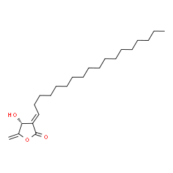 ChemSpider 2D Image | (3E,4R)-4-Hydroxy-5-methylene-3-octadecylidenedihydro-2(3H)-furanone | C23H40O3