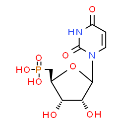 ChemSpider 2D Image | 1-(5-Deoxy-5-phosphono-D-ribofuranosyl)-2,4(1H,3H)-pyrimidinedione | C9H13N2O8P