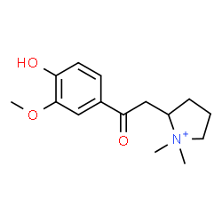 ChemSpider 2D Image | 2-[2-(4-Hydroxy-3-methoxyphenyl)-2-oxoethyl]-1,1-dimethylpyrrolidinium | C15H22NO3
