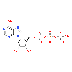 ChemSpider 2D Image | 9-[5-O-(Hydroxy{[hydroxy(phosphonooxy)phosphoryl]oxy}phosphoryl)-L-ribofuranosyl]-9H-purin-6-ol | C10H15N4O14P3