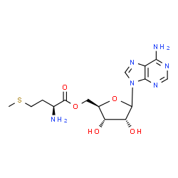ChemSpider 2D Image | [(2R,3S,4R)-5-(6-Amino-9H-purin-9-yl)-3,4-dihydroxytetrahydro-2-furanyl]methyl (2S)-2-amino-4-(methylsulfanyl)butanoate | C15H22N6O5S