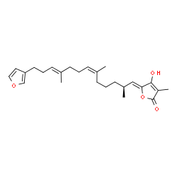 ChemSpider 2D Image | (5Z)-5-[(2S,6Z,10E)-13-(3-Furyl)-2,6,10-trimethyl-6,10-tridecadien-1-ylidene]-4-hydroxy-3-methyl-2(5H)-furanone | C25H34O4