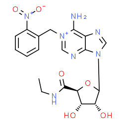 ChemSpider 2D Image | 6-Amino-9-[(3R,4S,5S)-5-(ethylcarbamoyl)-3,4-dihydroxytetrahydro-2-furanyl]-1-(2-nitrobenzyl)-9H-purin-1-ium (non-preferred name) | C19H22N7O6