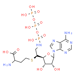 ChemSpider 2D Image | 2-Amino-4-({1-[(2S,3S,4R)-5-(6-amino-9H-purin-9-yl)-3,4-dihydroxytetrahydro-2-furanyl]-2-[(hydroxy{[hydroxy(phosphonooxy)phosphoryl]oxy}phosphoryl)amino]ethyl}sulfanyl)butanoic acid (non-preferred nam
e) | C15H26N7O14P3S