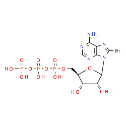ChemSpider 2D Image | 8-Bromo-9-[5-O-(hydroxy{[hydroxy(phosphonooxy)phosphoryl]oxy}phosphoryl)-D-ribofuranosyl]-9H-purin-6-amine | C10H15BrN5O13P3