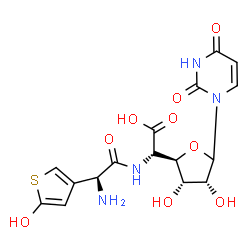 ChemSpider 2D Image | 1-(5-{[(2S)-2-Amino-2-(5-hydroxy-3-thienyl)acetyl]amino}-5-deoxy-D-allofuranuronosyl)-2,4(1H,3H)-pyrimidinedione | C16H18N4O9S