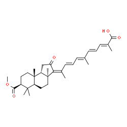 ChemSpider 2D Image | (2E,4E,6E,8E,10Z)-10-[(3aS,5aS,7S,9aS,9bS)-7-(Methoxycarbonyl)-3a,6,6,9a-tetramethyl-2-oxododecahydro-3H-cyclopenta[a]naphthalen-3-ylidene]-2,6-dimethyl-2,4,6,8-undecatetraenoic acid | C32H44O5