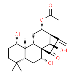 ChemSpider 2D Image | (1alpha,5beta,7alpha,8alpha,9beta,10alpha,12alpha,13alpha,14R)-1,7,14-Trihydroxy-15-oxokaur-16-en-12-yl acetate | C22H32O6