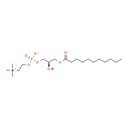 ChemSpider 2D Image | (2R)-2-Hydroxy-3-(undecanoyloxy)propyl 2-(trimethylammonio)ethyl phosphate | C19H40NO7P