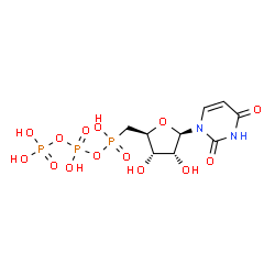 ChemSpider 2D Image | 5'-Deoxy-5'-(hydroxy{[hydroxy(phosphonooxy)phosphoryl]oxy}phosphoryl)uridine | C9H15N2O14P3