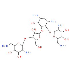 ChemSpider 2D Image | 4,6-Diamino-2-{[3-O-(2,6-diamino-2,6-dideoxyhexopyranosyl)pentofuranosyl]oxy}-3-hydroxycyclohexyl 2,6-diamino-2,6-dideoxyhexopyranoside | C23H46N6O13