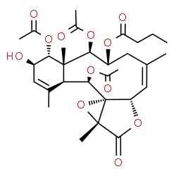 ChemSpider 2D Image | (3R,4R,4aR,5R,6R,8Z,9aS,11aR,12aS,13R,13aS)-4,5,13-Triacetoxy-3-hydroxy-1,4a,8,11a-tetramethyl-11-oxo-4,4a,5,6,7,9a,11,11a,13,13a-decahydro-3H-benzo[4,5]cyclodeca[1,2-b]oxireno[c]furan-6-yl butyrate | C30H40O12