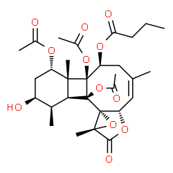 ChemSpider 2D Image | (2aS,3Z,6S,6aS,6bR,7S,9S,10R,10aS,10bS,10cS,11aS)-6a,7,10b-Triacetoxy-9-hydroxy-4,6b,10,11a-tetramethyl-1-oxo-1,5,6,6a,6b,7,8,9,10,10a,10b,11a-dodecahydro-2aH-benzo[3',4']cyclobuta[1',2':3,4]cycloocta
[1,2-b]oxireno[c]furan-6-yl butanoate | C30H40O12