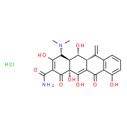 ChemSpider 2D Image | (4R,4aS,5R,5aR,12aR)-4-(Dimethylamino)-3,5,10,12,12a-pentahydroxy-6-methylene-1,11-dioxo-1,4,4a,5,5a,6,11,12a-octahydro-2-tetracenecarboxamide hydrochloride (1:1) | C22H23ClN2O8