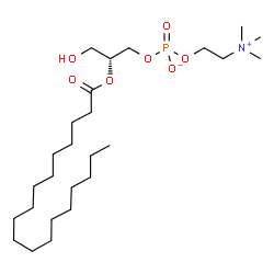 ChemSpider 2D Image | 2-stearoyl-sn-glycero-3-phosphocholine | C26H54NO7P