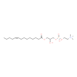 ChemSpider 2D Image | lysophosphatidylcholine 14:1(9Z)/0:0 | C22H44NO7P