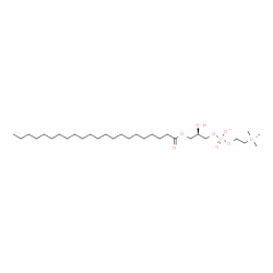 ChemSpider 2D Image | (2R)-3-(Docosanoyloxy)-2-hydroxypropyl 2-(trimethylammonio)ethyl phosphate | C30H62NO7P
