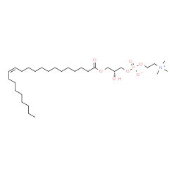 ChemSpider 2D Image | LysoPC(22:1(13Z)) | C30H60NO7P