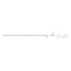 ChemSpider 2D Image | 1-tetracosanoyl-sn-glycero-3-phosphocholine | C32H66NO7P