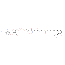 ChemSpider 2D Image | S-{(9R)-1-[(2R,3R,5R)-5-(6-Amino-9H-purin-9-yl)-4-hydroxy-3-(phosphonooxy)tetrahydro-2-furanyl]-3,5,9-trihydroxy-8,8-dimethyl-3,5-dioxido-10,14-dioxo-2,4,6-trioxa-11,15-diaza-3lambda~5~,5lambda~5~-dip
hosphaheptadecan-17-yl} 8-{(1R,2S)-3-oxo-2-[(2Z)-2-penten-1-yl]cyclopentyl}octanethioate | C39H64N7O18P3S