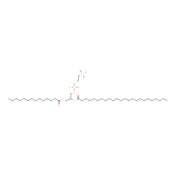 ChemSpider 2D Image | 1-tetradecanoyl-2-tetracosanoyl-sn-glycero-3-phosphocholine | C46H92NO8P